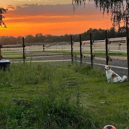 Auszeit Auf Der Seelenfarm Nienburg  Buitenkant foto