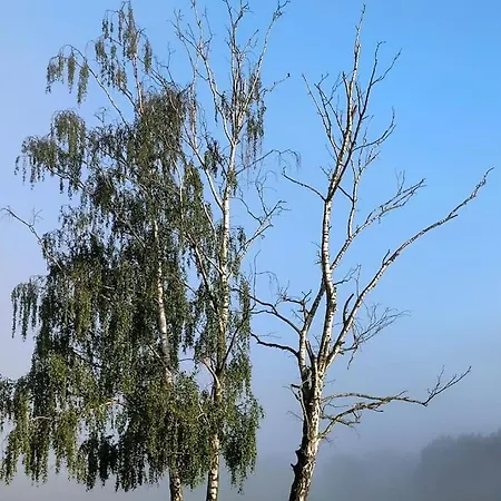 Auszeit Auf Der Seelenfarm Nienburg  Buitenkant foto