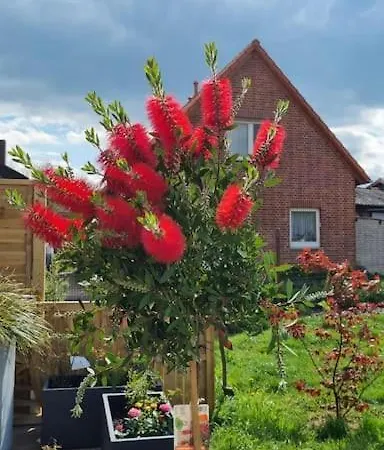 Auszeit Auf Der Seelenfarm Nienburg  Buitenkant foto