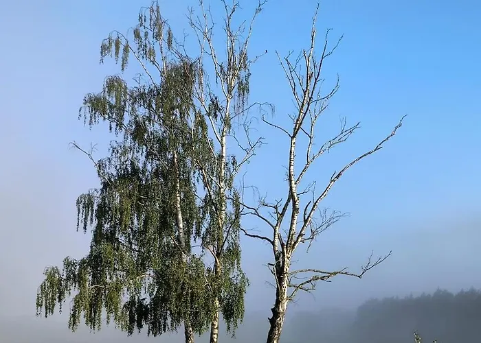 Auszeit Auf Der Seelenfarm