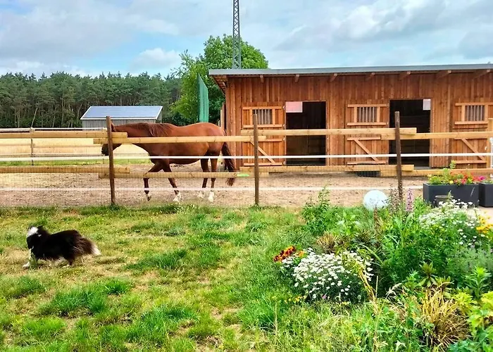 Auszeit Auf Der Seelenfarm