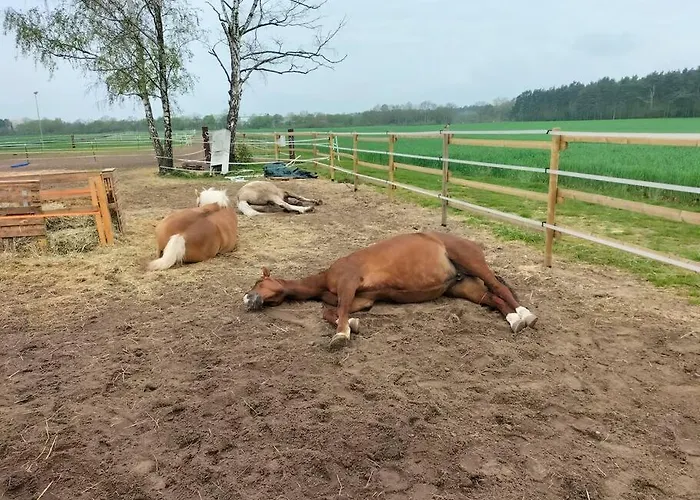 Auszeit Auf Der Seelenfarm