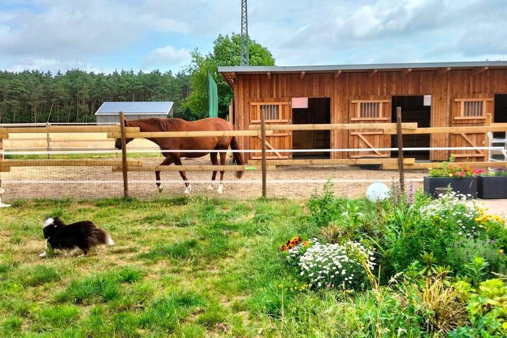 Auszeit Auf Der Seelenfarm Apartment Nienburg (Lower-Saxony)