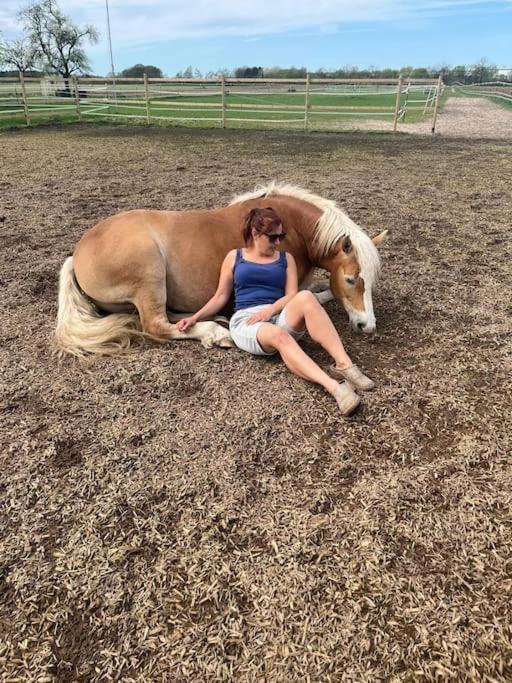Auszeit Auf Der Seelenfarm *
