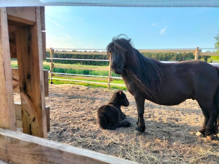 Auszeit Auf Der Seelenfarm *