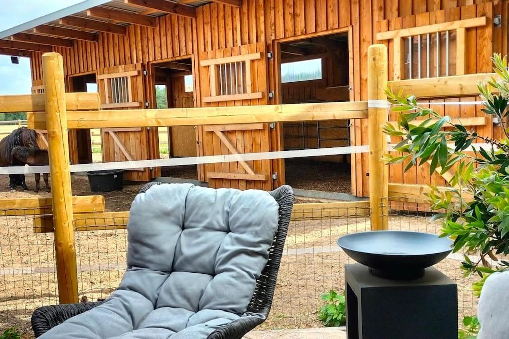 Auszeit Auf Der Seelenfarm