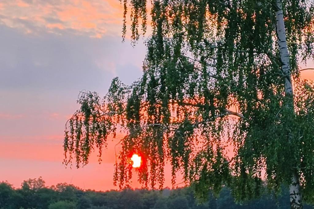 Auszeit Auf Der Seelenfarm Nienburg (Lower-Saxony)