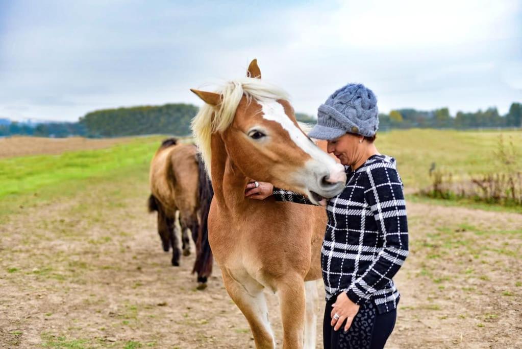 Auszeit Auf Der Seelenfarm Apartment